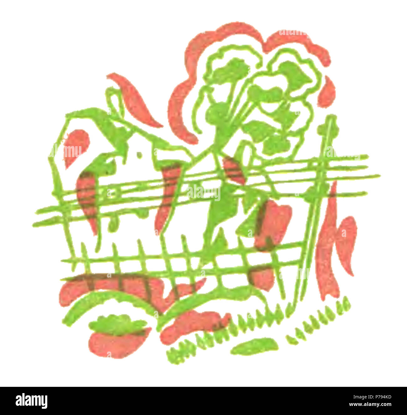 5 Maria Pawlikowska - Różowa magja p45 Banque D'Images