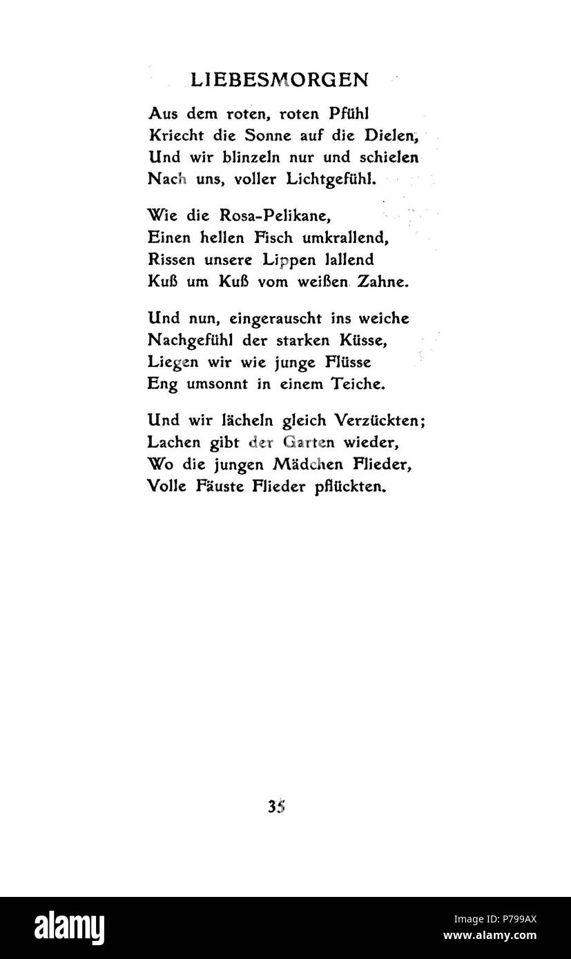 . Junge Pferde ! Junge Pferde ! N/A 14 De Boldt - Junge Pferde 35 Banque D'Images