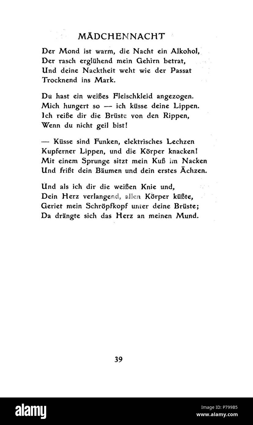 . Junge Pferde ! Junge Pferde ! N/A 14 De Boldt - Junge Pferde 39 Banque D'Images