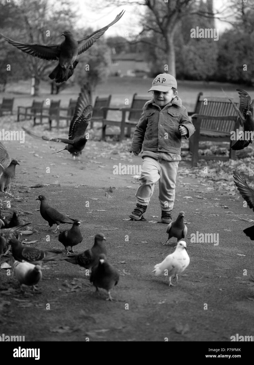 Un garçon courir après les pigeons dans le parc Banque D'Images