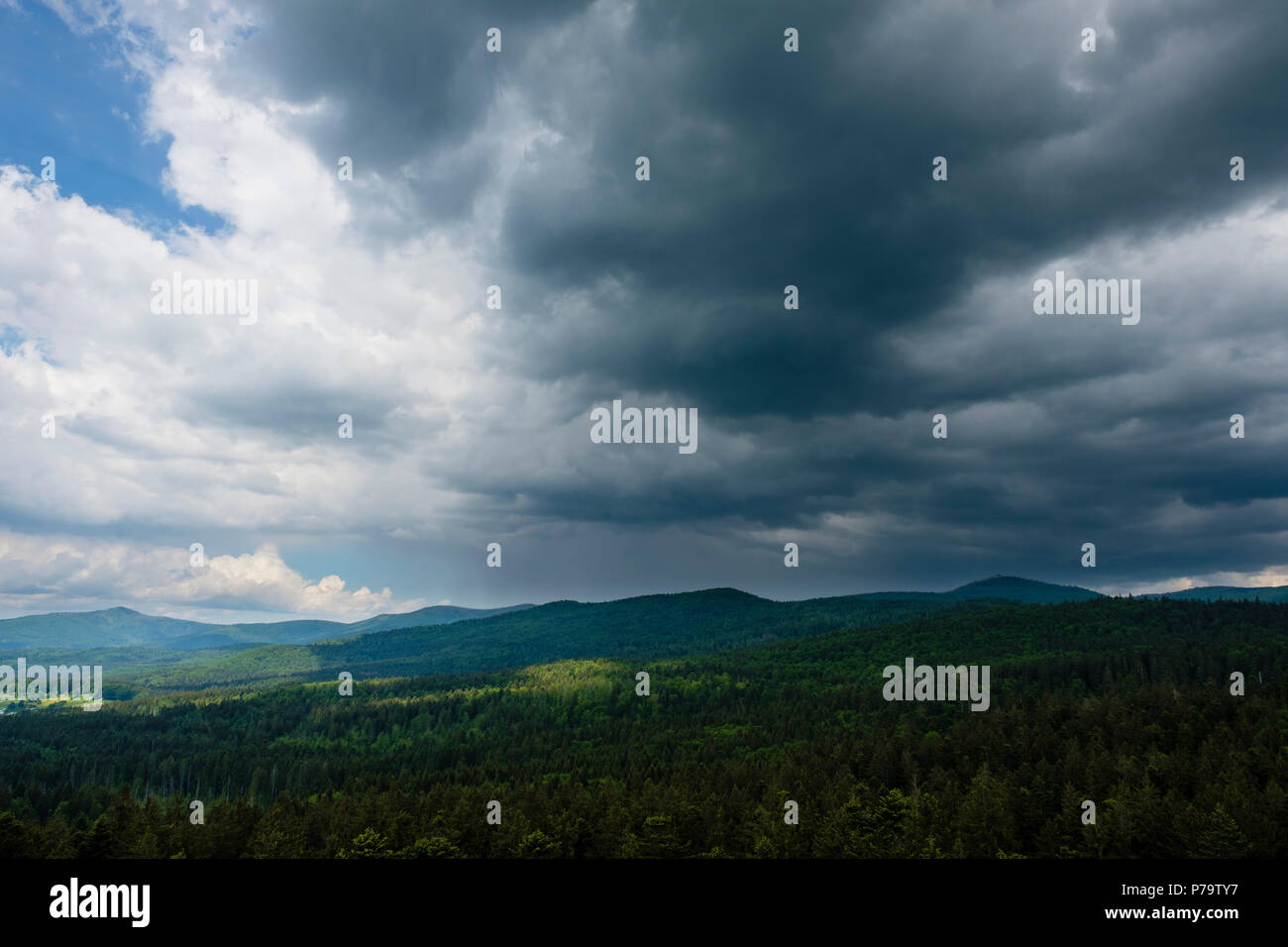 L'augmentation des orages, stratocumulus, forêt de Bavière, Grafenau, Parc National de la forêt bavaroise, Thuringe, Bavière Banque D'Images
