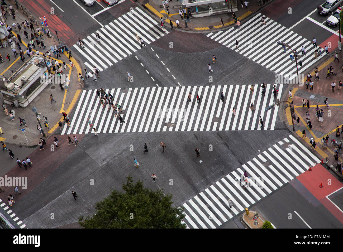 Tokyo, Japon - 26 juin 2016 : Ariel vue sur le croisement de Shibuya occupé, connue comme la brouille, où plus de 1000 personnes traversent la rue tous les ti Banque D'Images