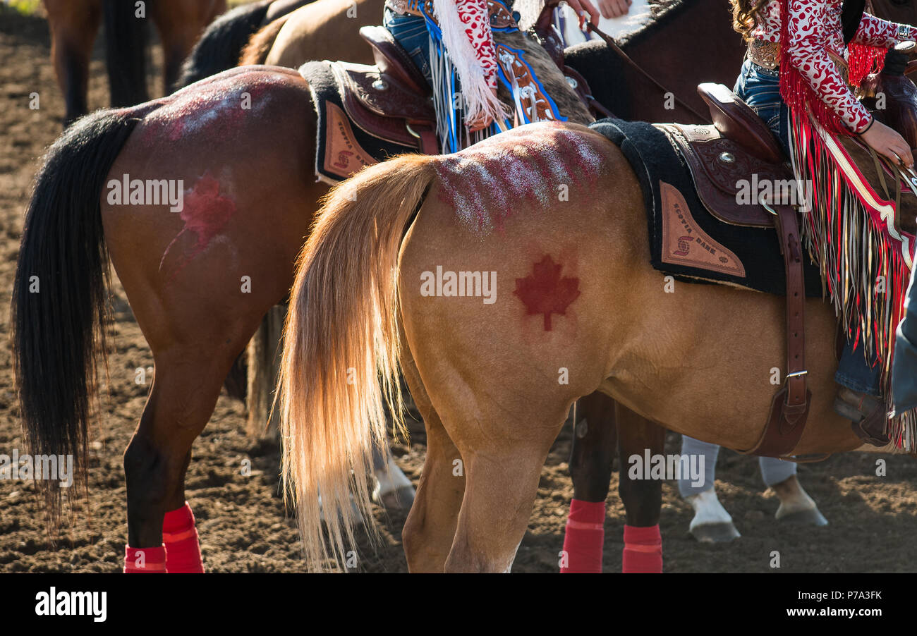 Une photo en se concentrant sur la peinture rouge & blanc shimmery qui avait été peint sur le rodéo princesses chevaux. Feuilles d'érable rouges symbolisent le Canada. Banque D'Images