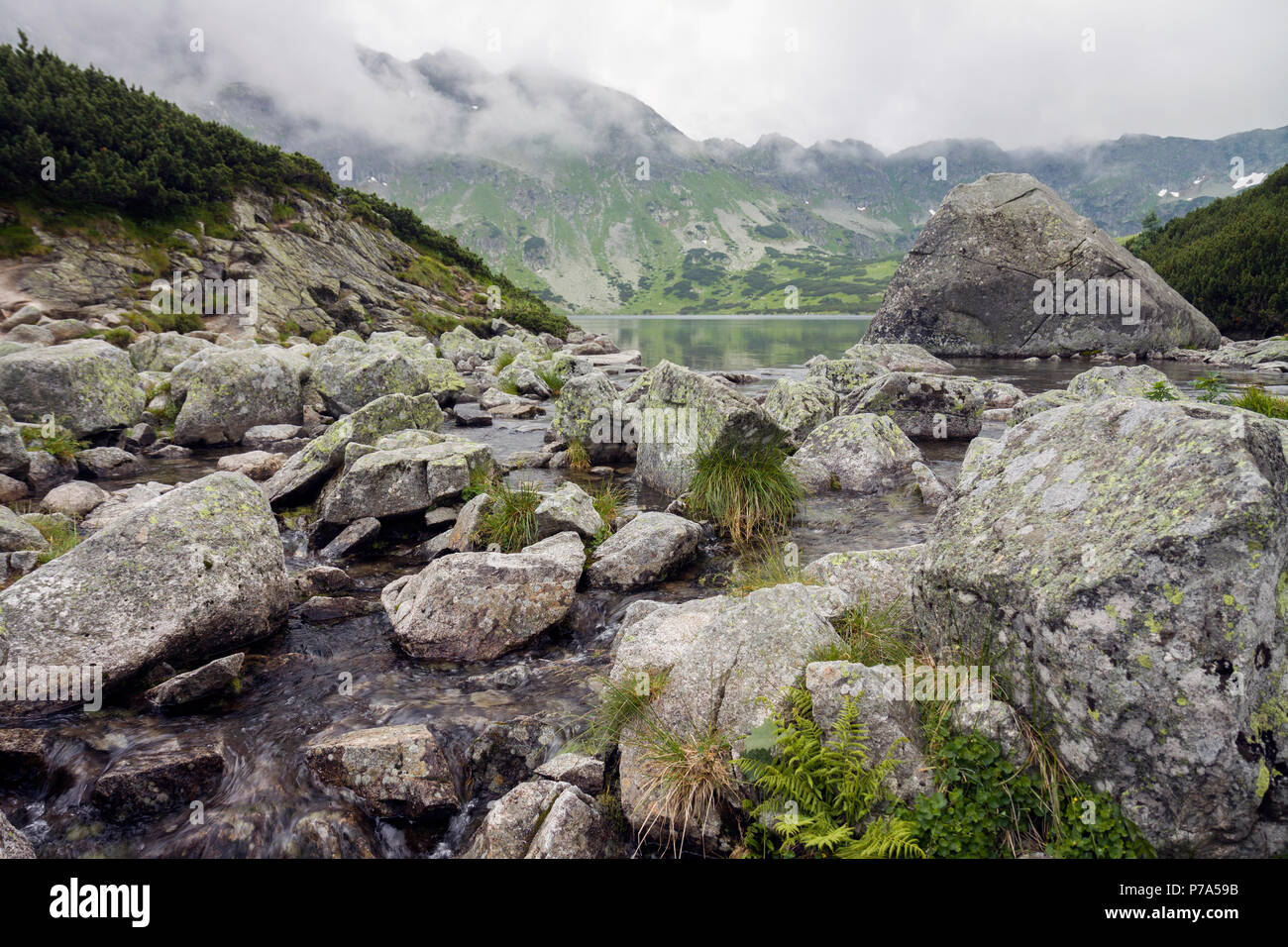 Côte rocheuse de la montagne, étang, Tatras, Pologne. Banque D'Images