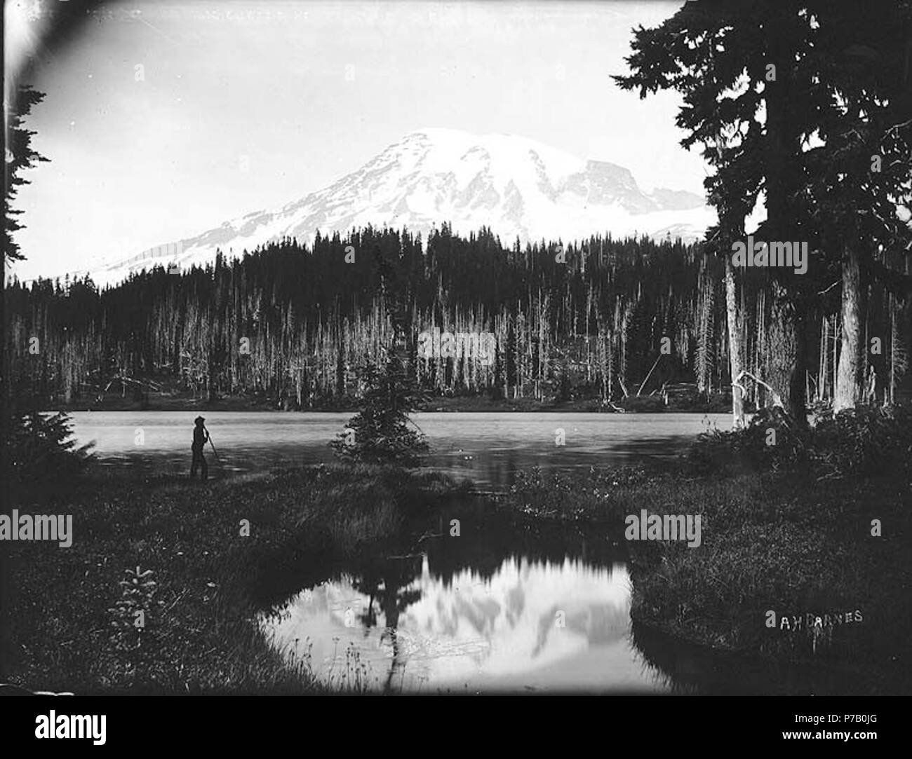 . Anglais : le Mont Rainier, Réflexion Lake, parc national de Mount Rainier, Washington, ca. 1907. Anglais : l'homme à gauche sur le bord du lac s'appuyant sur bâton sur le manchon de négatif : Mt. Tacoma et réflexion Lake (Man leaning on alpen stock) Sujets (LCTGM) : Montagne--Washington (Etat), lacs et étangs--Washington (État)--Mount Rainier National Park Sujets (LCSH) : Mount Rainier (Washington) ; réflexion Lake (Washington) ; Mount Rainier National Park (Washington) . vers 1907 58 Réflexion de Mount Rainier Lake, le Mont Rainier National Park, Washington, ca 1907 (293 bar) Banque D'Images
