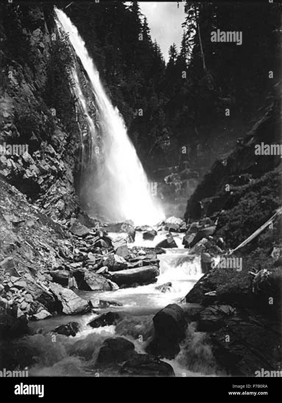 . Anglais : Narada Falls, parc national de Mount Rainier, Washington, ca. 1907. Anglais : Cascade sur versant sud du Mt. Rainier, Paradise River . Sur le manchon de négatif : Mt. Tacoma. Narada Falls. Les meilleurs sujets négatifs (LCTGM) : Cascades--Washington (État)--Mount Rainier National Park ; des rivières--Washington (État)--Mount Rainier National Park Sujets (LCSH) : Narada Falls (Washington) ; rivière Paradise (Washington) ; Mount Rainier National Park (Washington) . vers 1907 59 Narada Falls, parc national de Mount Rainier, Washington, ca 1907 (46 bar) Banque D'Images