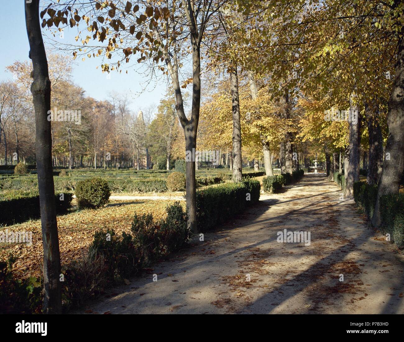 L'Espagne. Aranjuez. Jardin de l'île (Jardin de la Isla). Communauté de Madrid. Banque D'Images