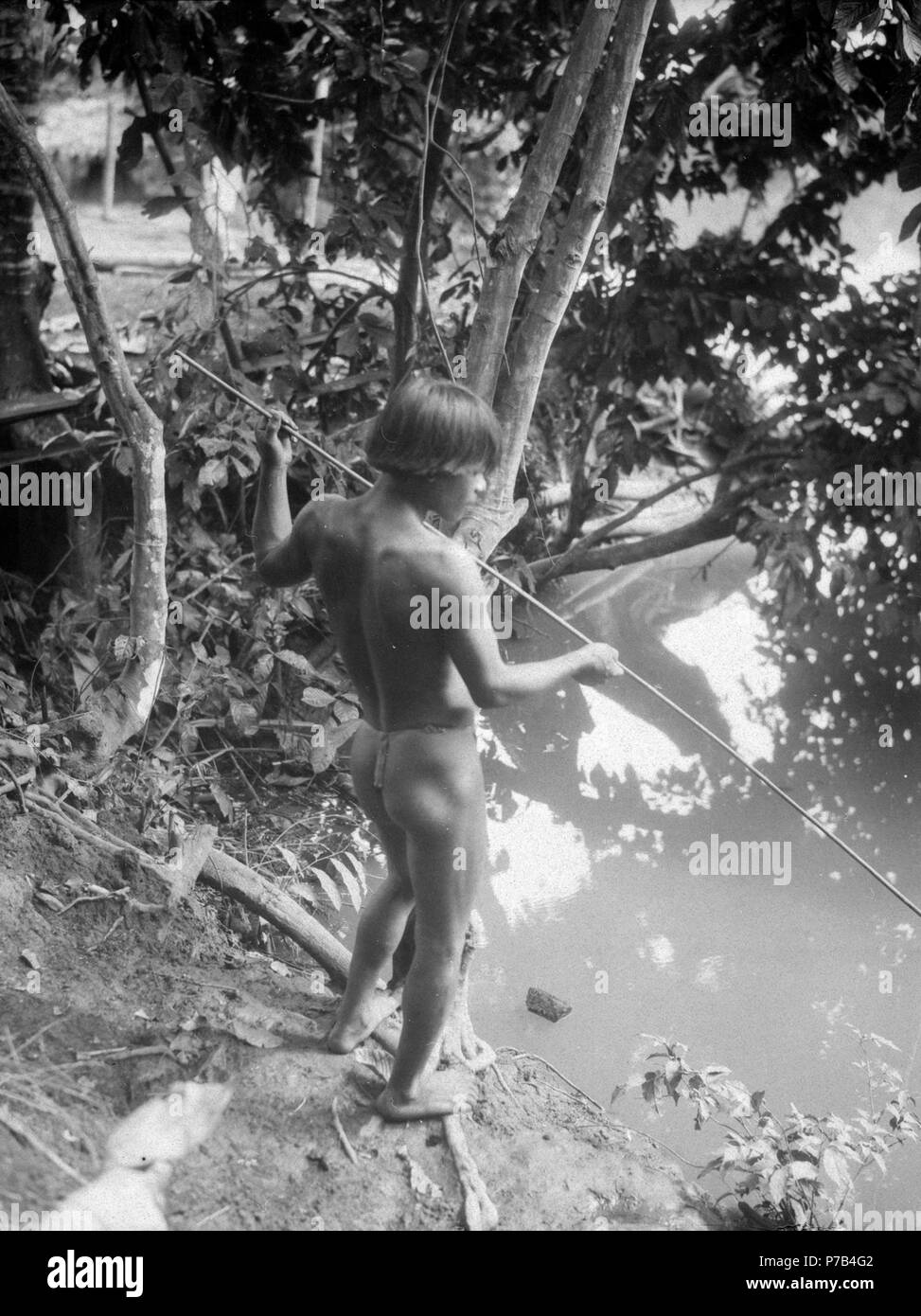 164 Medicinmannen Selimos Teodolindo fångar fils . spetsat fiskspjut fisk med ett av-palmträ - SMVK chonta - 004010 Banque D'Images