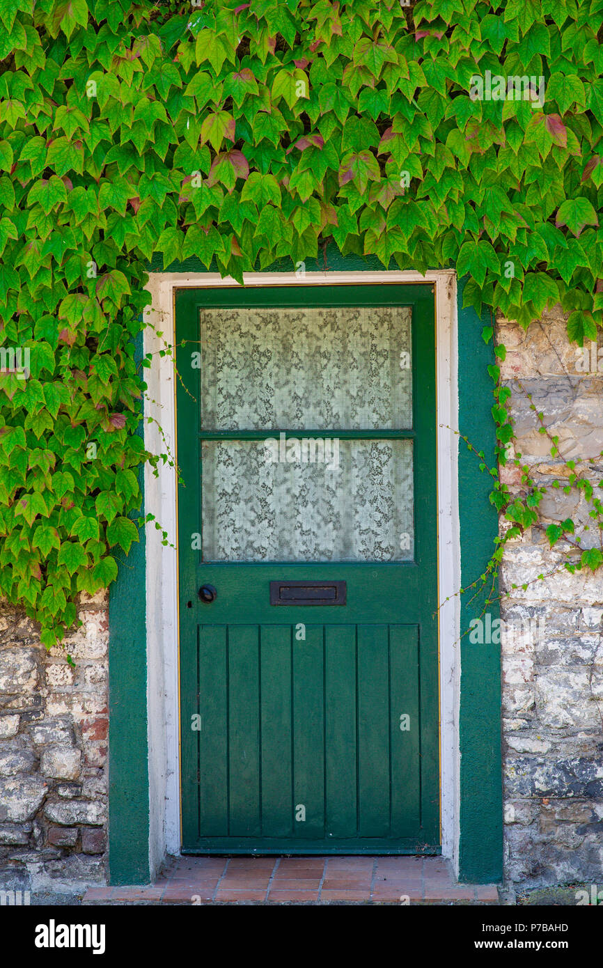 La porte verte au chalet entouré de lierre vert plante grimpante à Donadea, comté de Kildare, Irlande du Nord, en Irlande. Banque D'Images