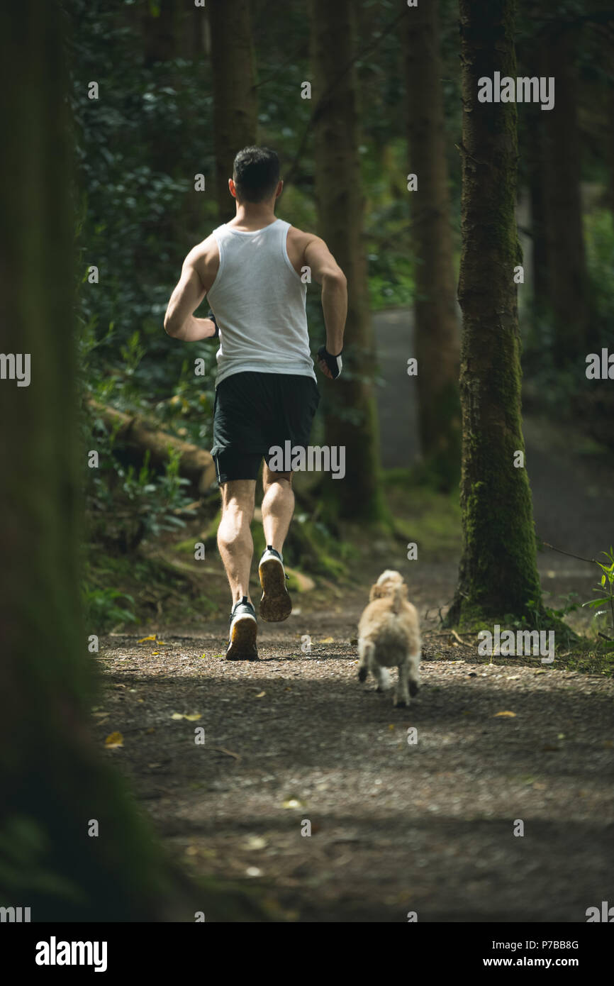 Man jogging avec son chien dans la forêt luxuriante Banque D'Images