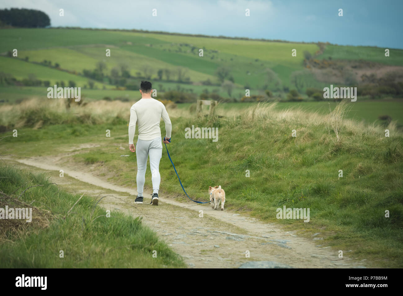 L'homme avec son chien marche à campagne Banque D'Images