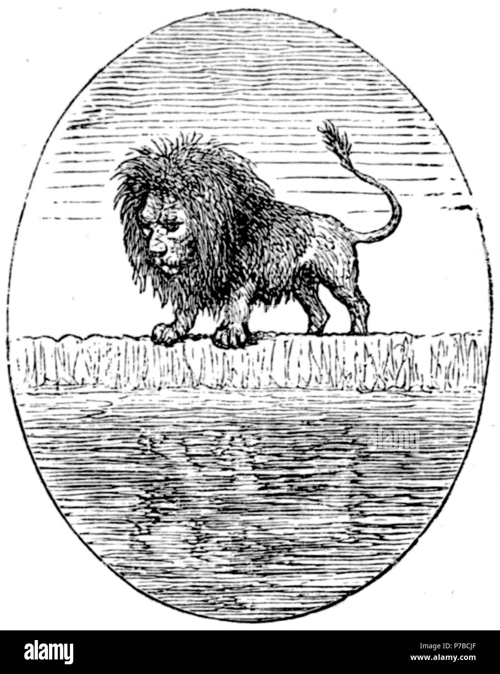 Page 61 illustration 117 dans Old Deccan Days Banque D'Images