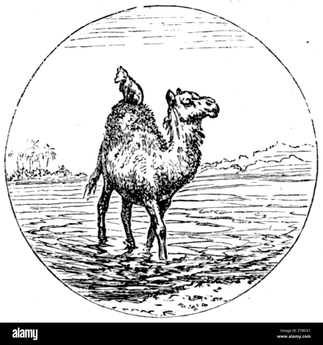 Page 61 illustration 134 dans Old Deccan Days Banque D'Images