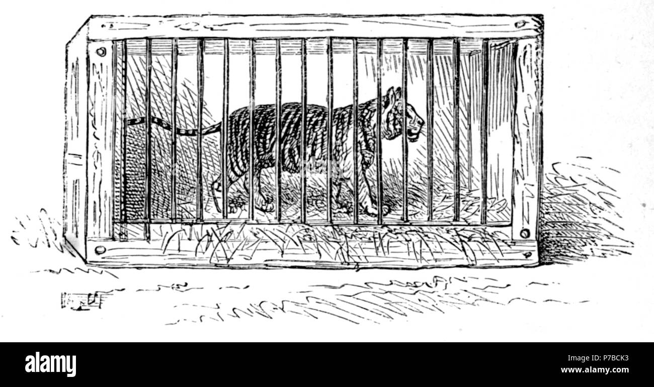 Page 61 illustration 138 dans Old Deccan Days Banque D'Images