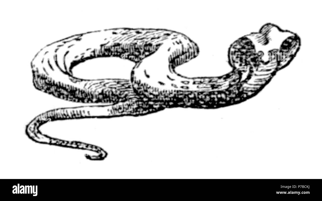 62 Page 17 l'illustration en vieux jours Deccan Banque D'Images