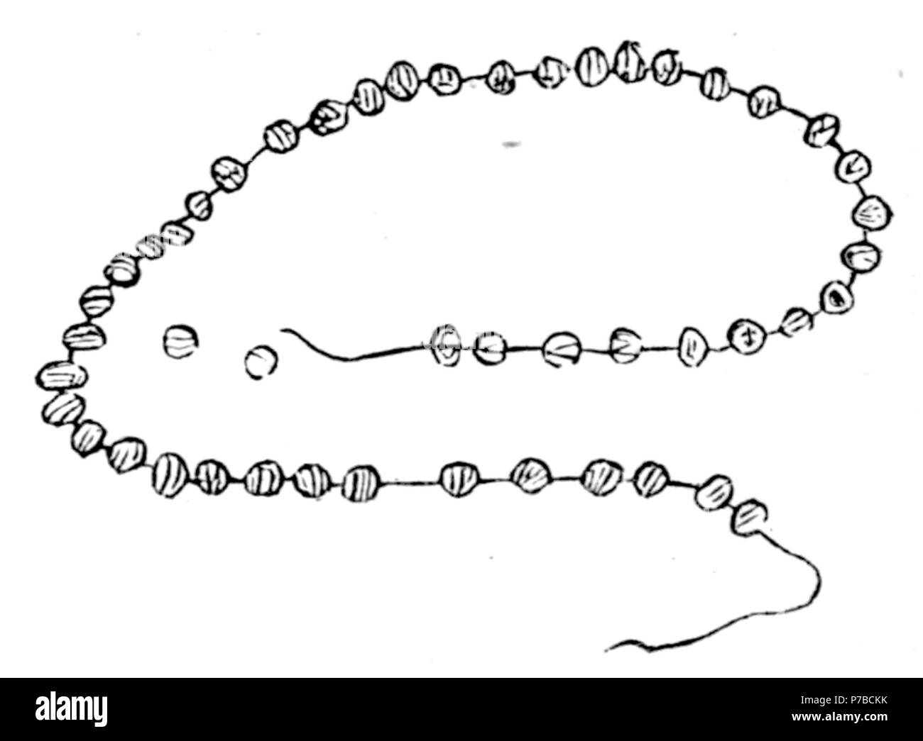 Page 62 illustration 170 dans Old Deccan Days Banque D'Images