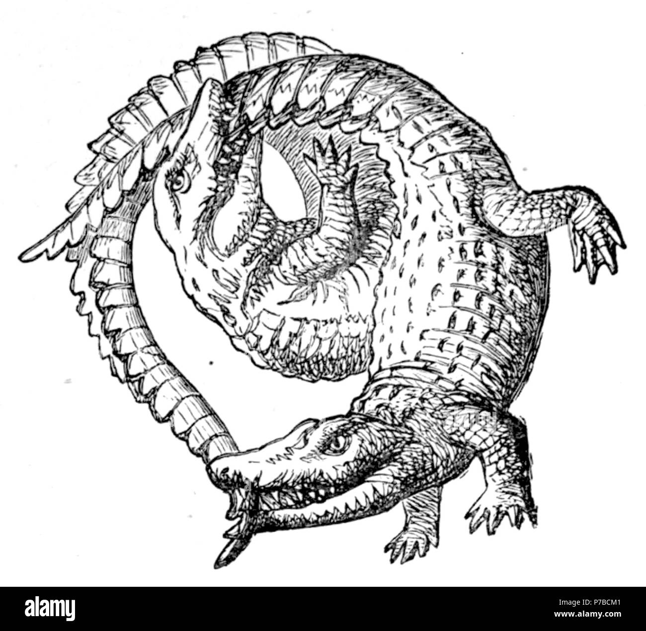 Page 62 illustration 211 dans Old Deccan Days Banque D'Images