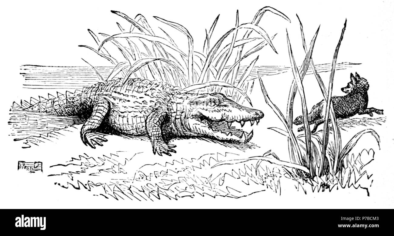 Page 62 illustration 214 dans Old Deccan Days Banque D'Images