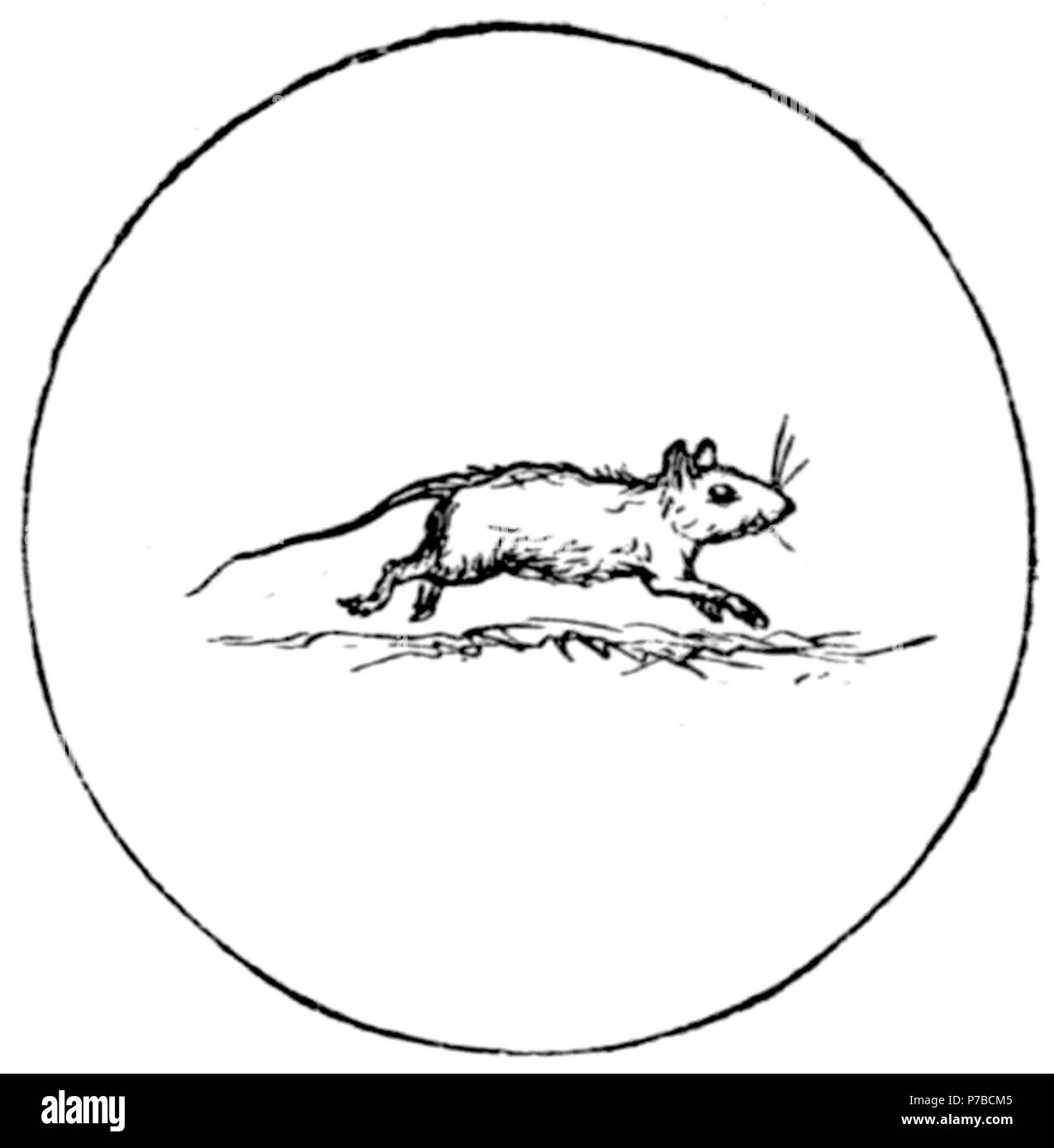 Page 62 illustration 38 dans Old Deccan Days Banque D'Images