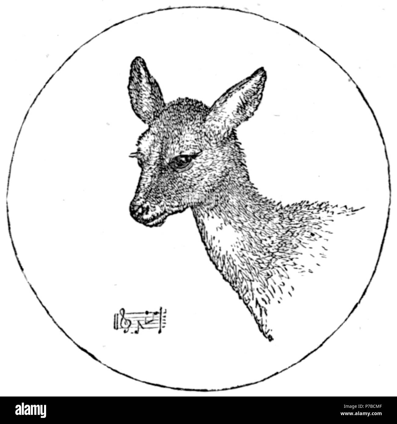 Page 62 illustration 50 dans Old Deccan Days Banque D'Images