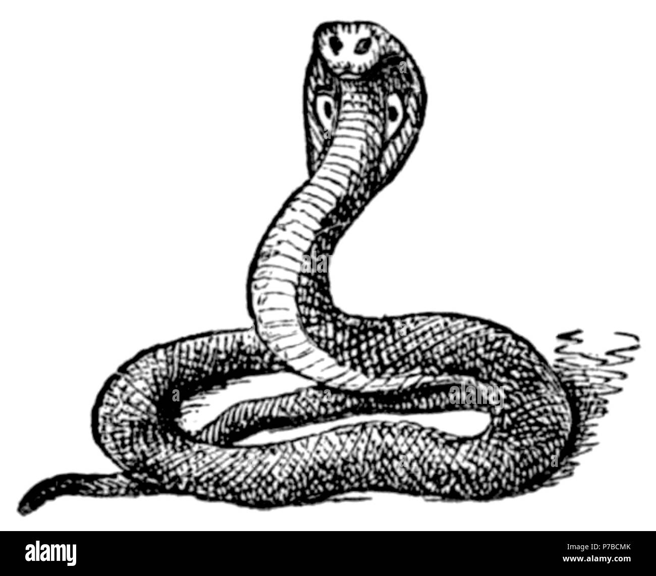 Page 62 illustration 92 dans Old Deccan Days Banque D'Images