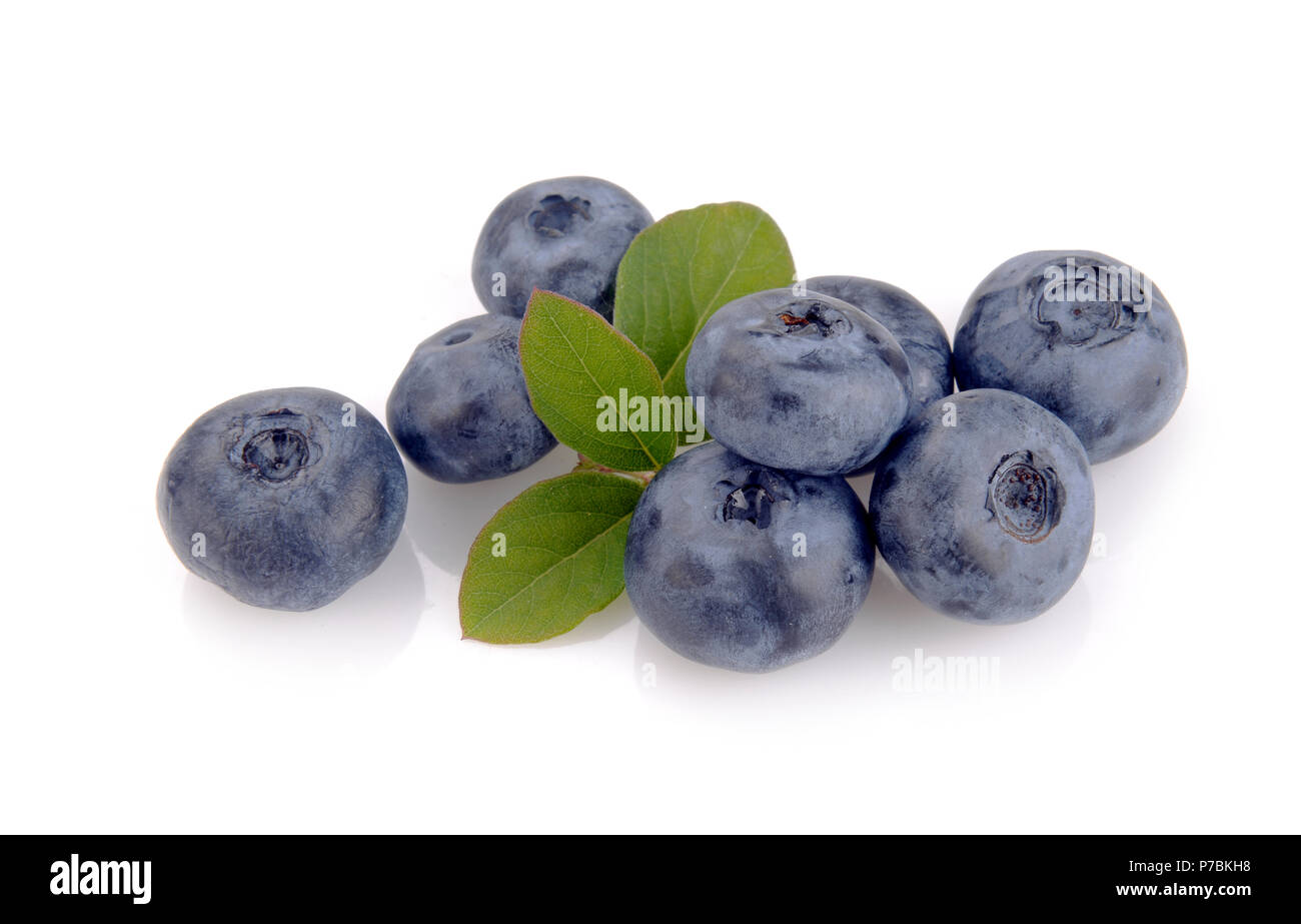 Blueberry et de feuilles vertes sur fond blanc Banque D'Images