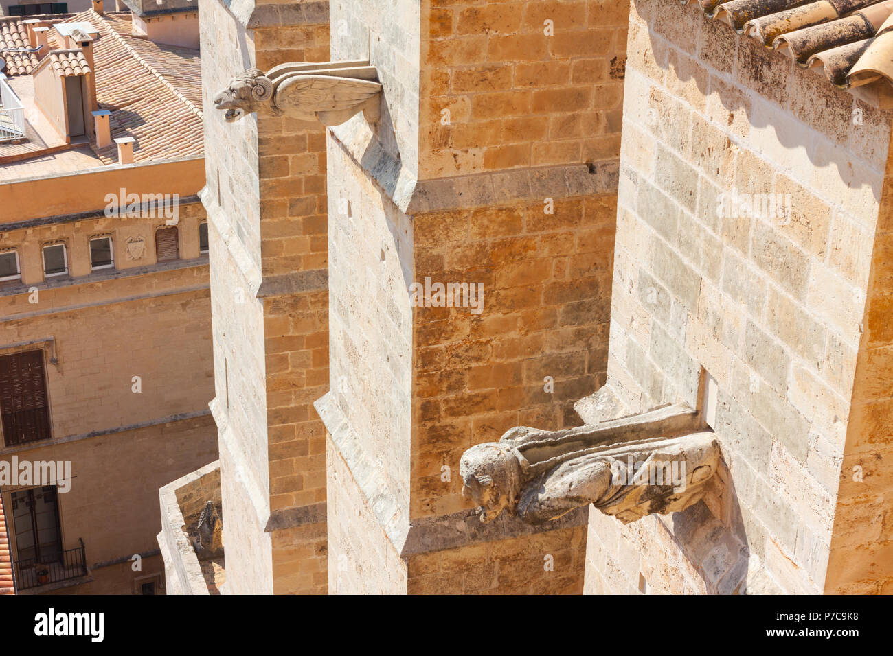 Les gargouilles de la cathédrale de Santa Maria de Palma, également connu sous le nom de la Seu. Palma, Majorque, Espagne Banque D'Images