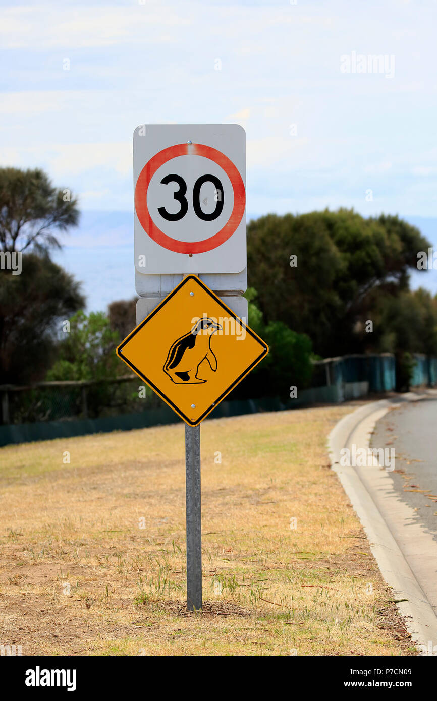 Panneau de circulation Pinguin, prendre soin de peu de pinguins, Kangaroo Island, Australie du Sud, Australie Banque D'Images