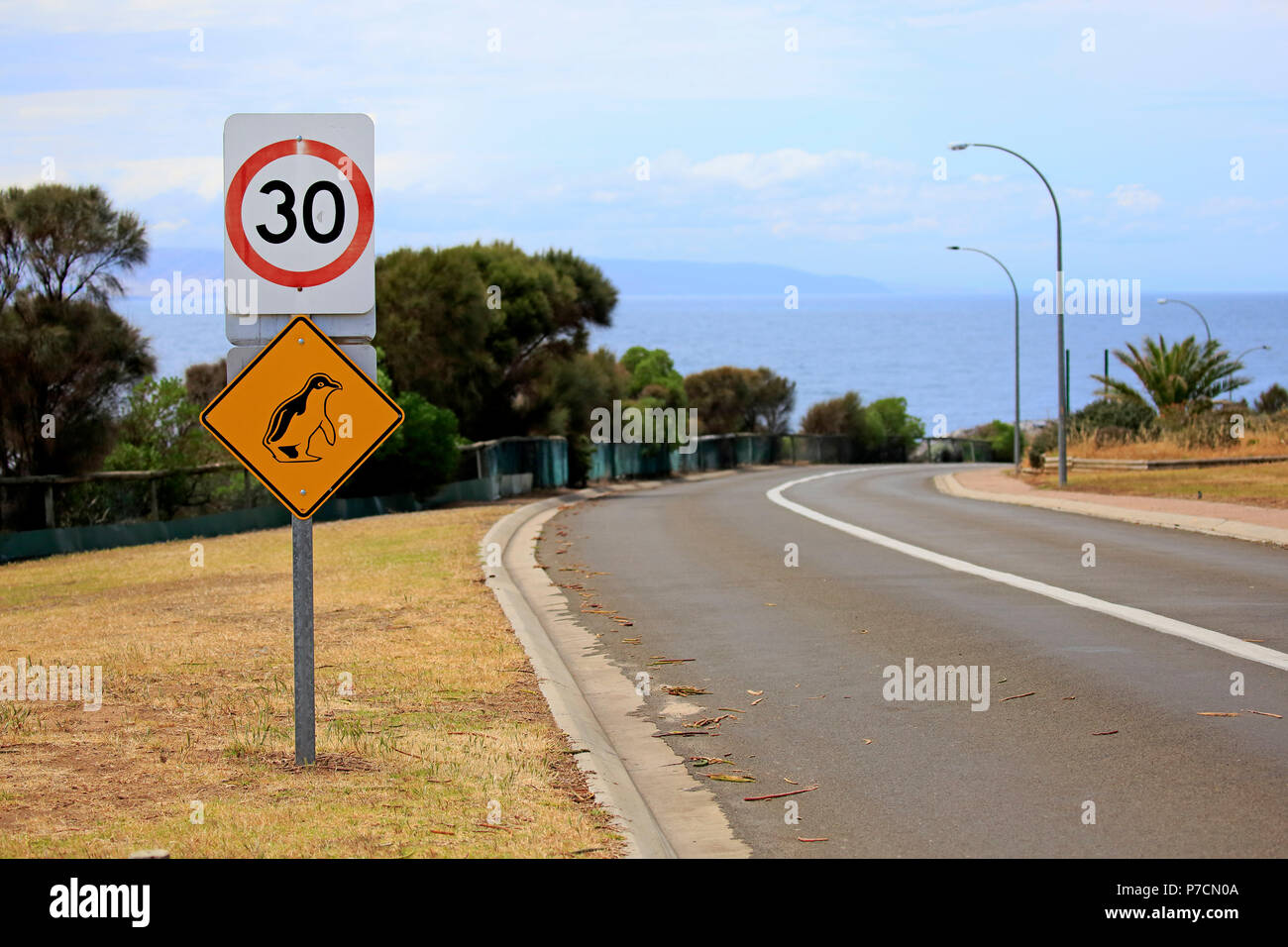 Panneau de circulation Pinguin, prendre soin de peu de pinguins, Kangaroo Island, Australie du Sud, Australie Banque D'Images