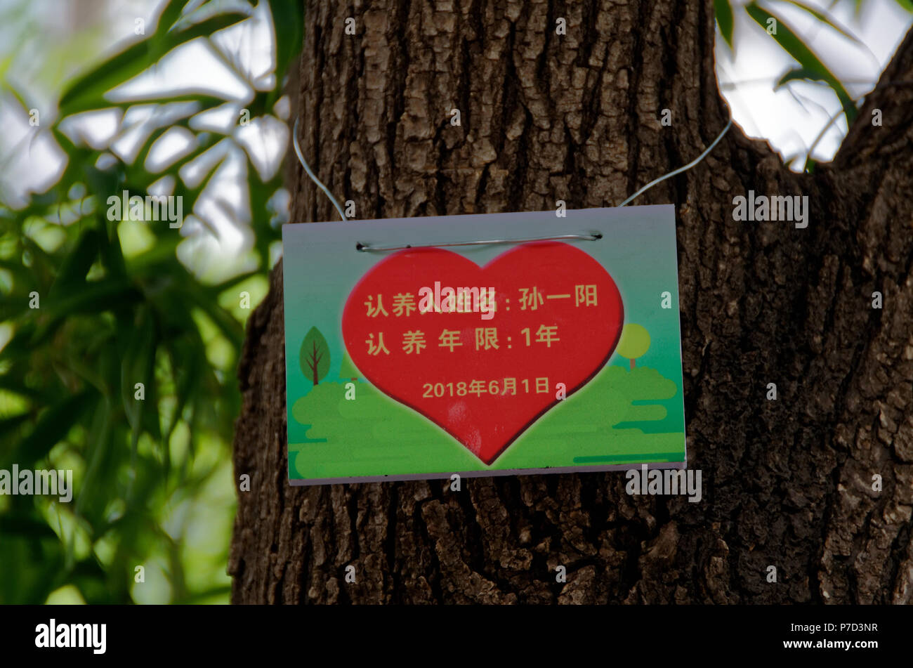 Aimer la nature - signe montrant un arbre a été adopté pour une année au parc Liangmaqiao Road 40, Beijing, Chine Banque D'Images