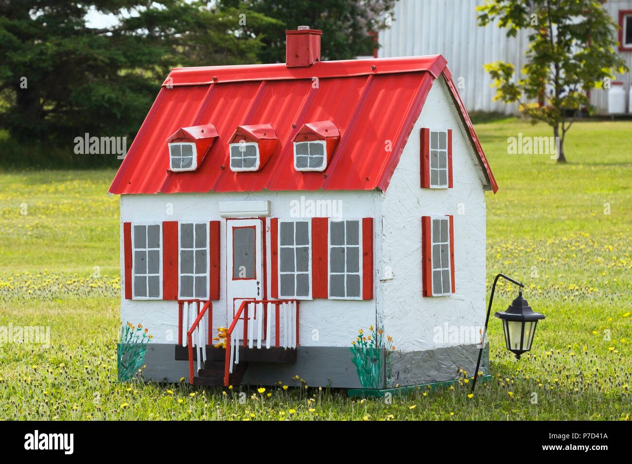 Blanc avec garniture rouge reproduction miniature d'une vieille maison de style cottage Canadiana façade dans un champ de fleurs de pissenlit jaune Banque D'Images