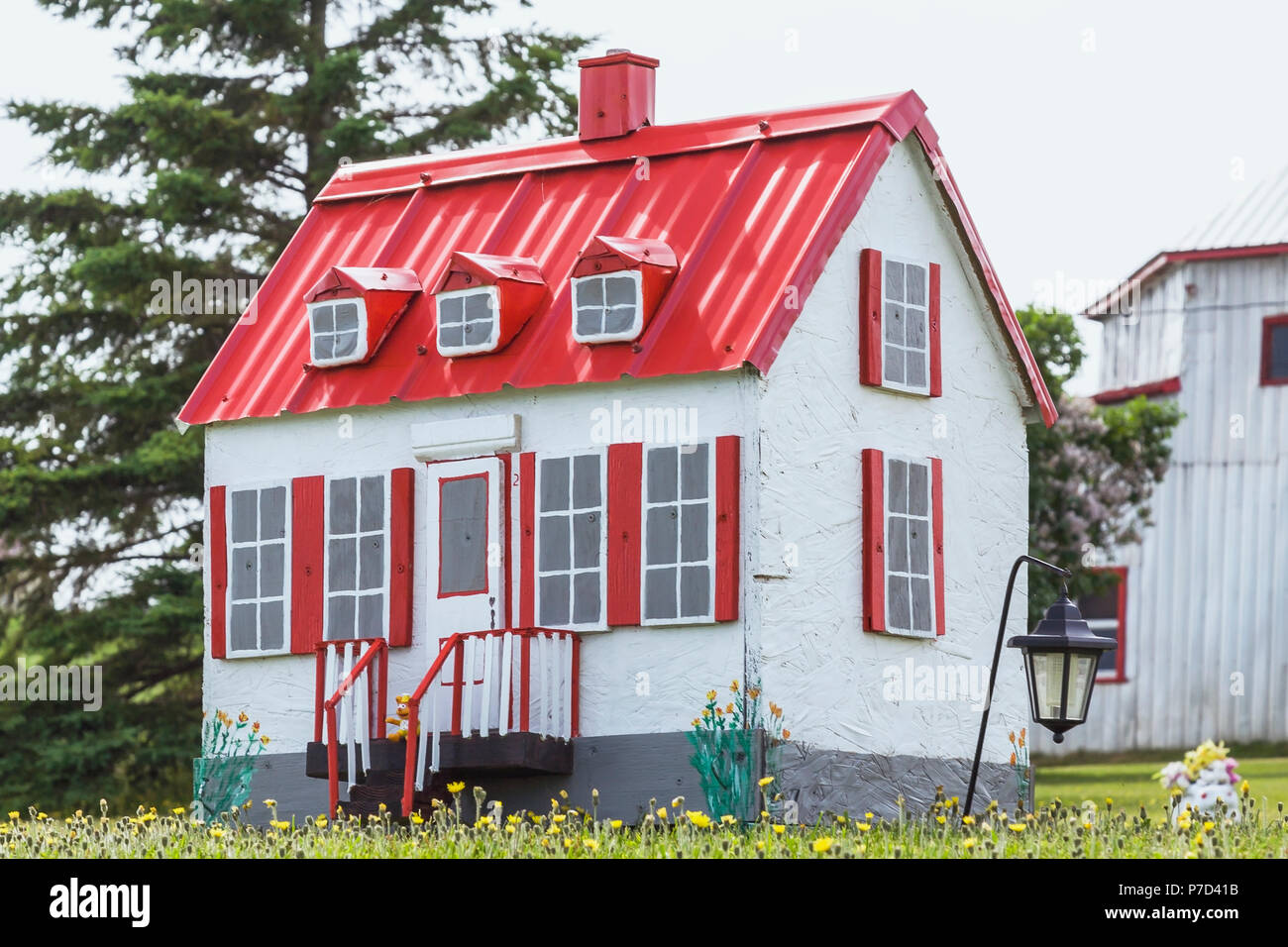 Blanc avec garniture rouge reproduction miniature d'une vieille maison de style cottage Canadiana façade dans un champ de fleurs de pissenlit jaune Banque D'Images