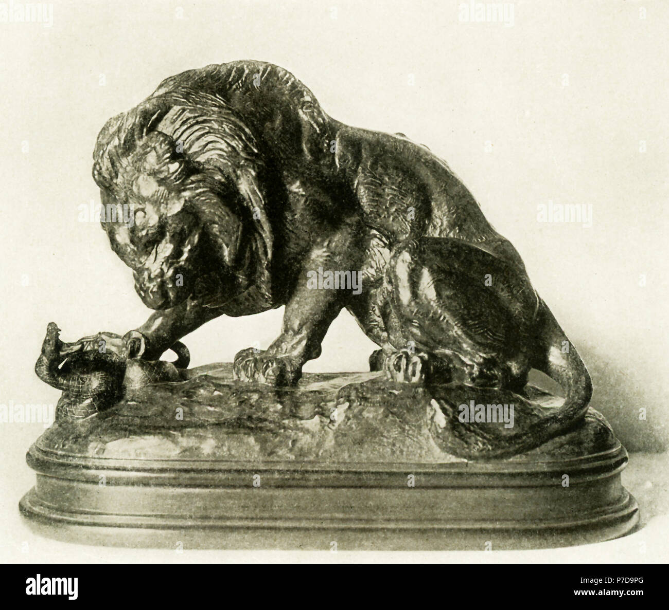 Antoine Louis Barye (1795-1875) était un sculpteur français romantique. Il  est surtout connu comme un sculpteur d'animaux (par conséquent, un animalier).  Cette sculpture en bronze de Barye est intitulé "Le Lion et