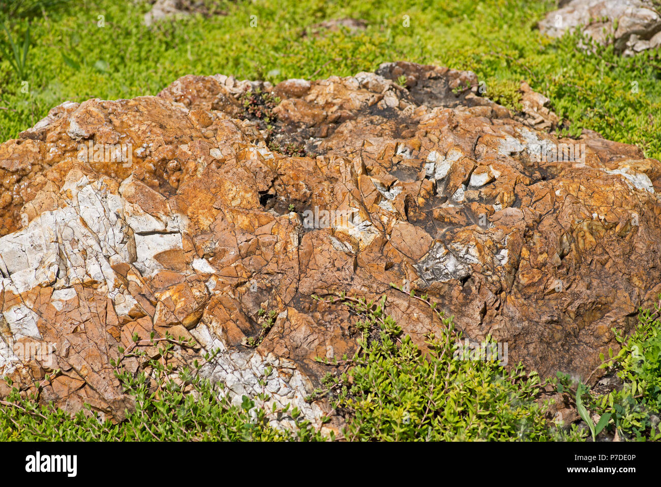 Pierre Minérale Naturelle silex, cryptocristalline sédimentaires forme du minéral de quartz. Banque D'Images