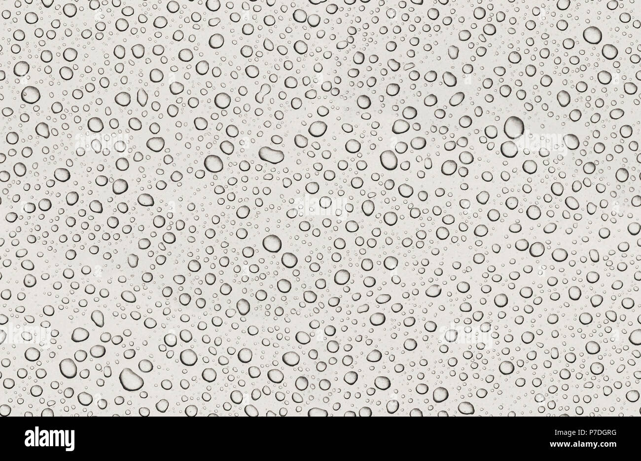 Seamless texture de gouttes d'eau sur fond de métal gris. Diverses petites gouttes avec ombres sur gris peinture métal.L' affichage. Résumé claire eau retour Banque D'Images