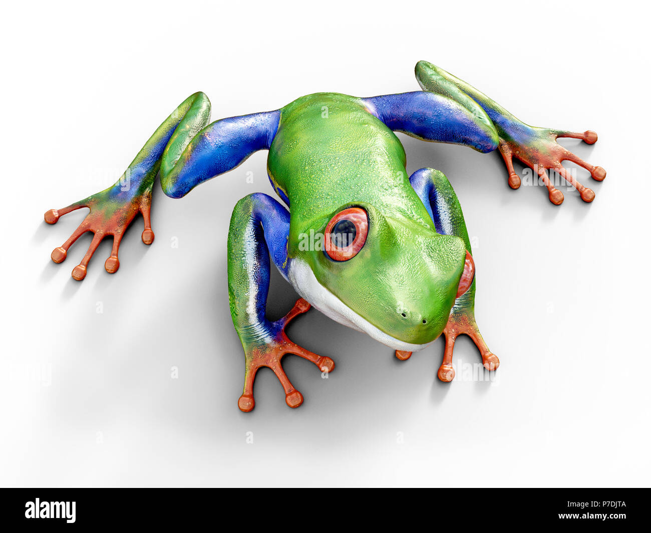 Rendu 3D réaliste d'un vert, bleu et orange de couleur rouge-eyed tree frog, agalychnis callidryas, assis sur un sol blanc. Banque D'Images