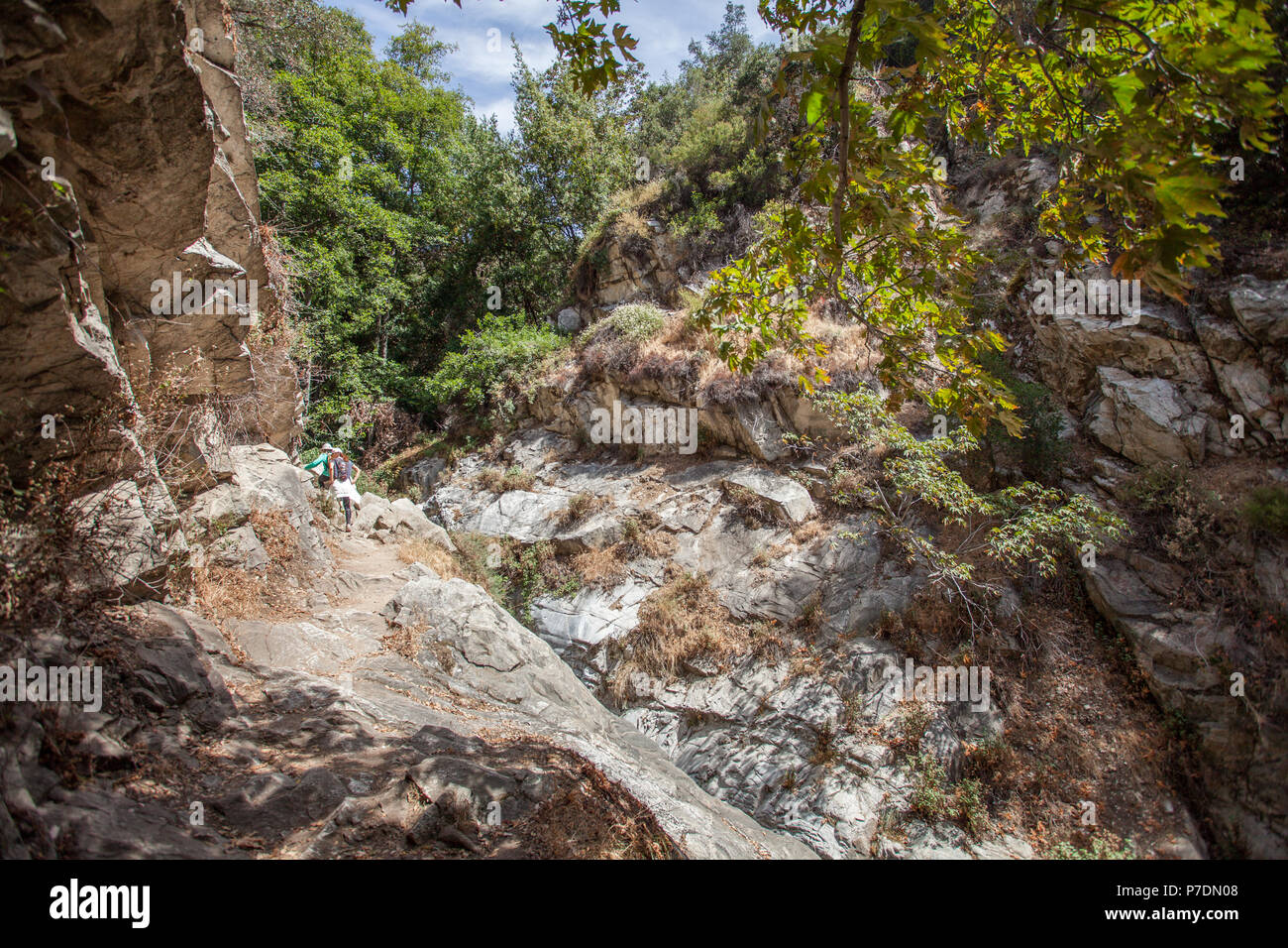 Belle randonnée le long du chemin étroit grincent au Canyon de Santa Anita, Angeles National Forest, de montagnes de San Gabriel, près de Los Angeles, Californie Banque D'Images