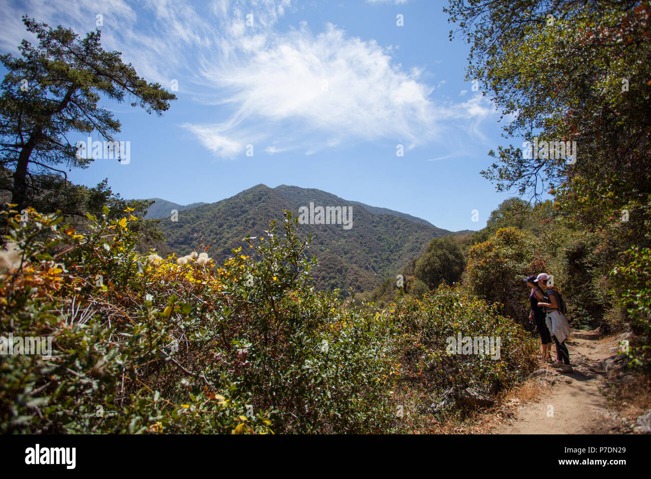 Belle randonnée au chemin étroit canyon de Santa Anita, Angeles National Forest, de montagnes de San Gabriel, près de Los Angeles, Californie. Banque D'Images