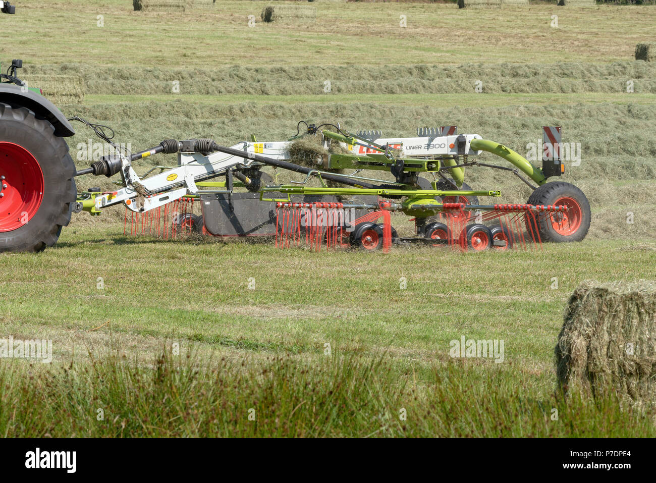 Le Dartmoor, dans le Devon, England, UK du foin sur une ferme de Devonshire à l'aide d'une machine de pose d'andain de Claas Banque D'Images