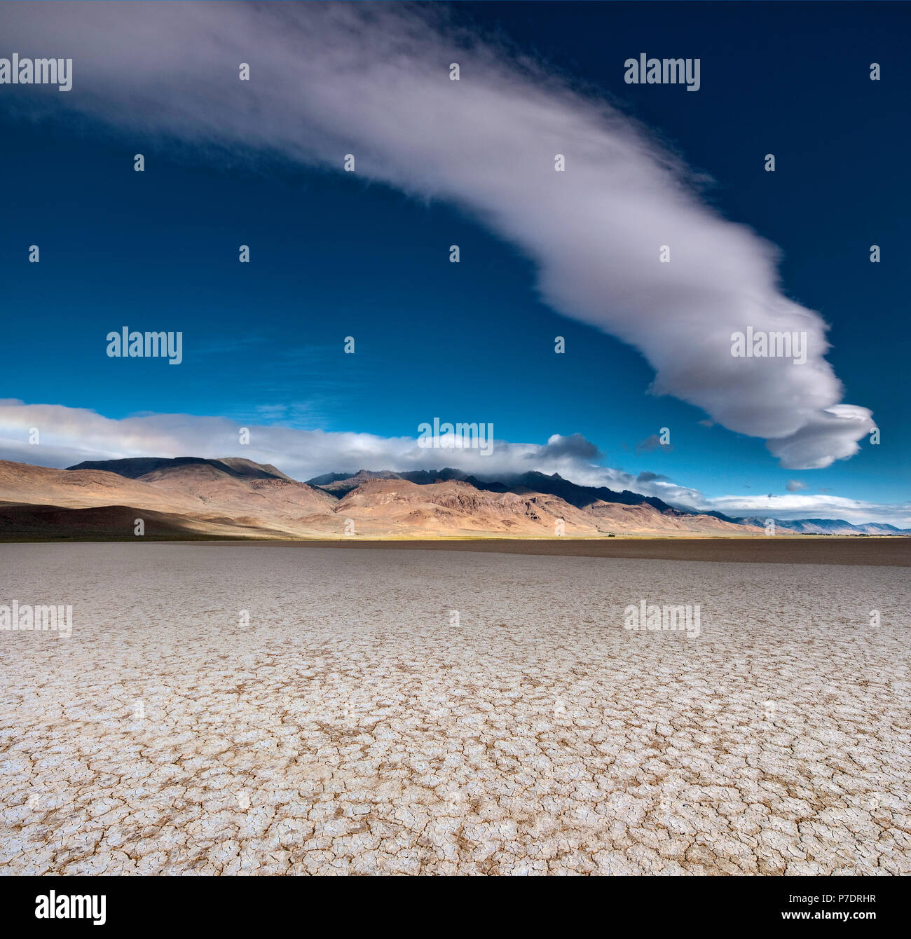 Plus de cumulus Alvord sec Lac et Montagne Steens, Alvord Desert, partie de désert du Grand Bassin, Oregon, USA Banque D'Images