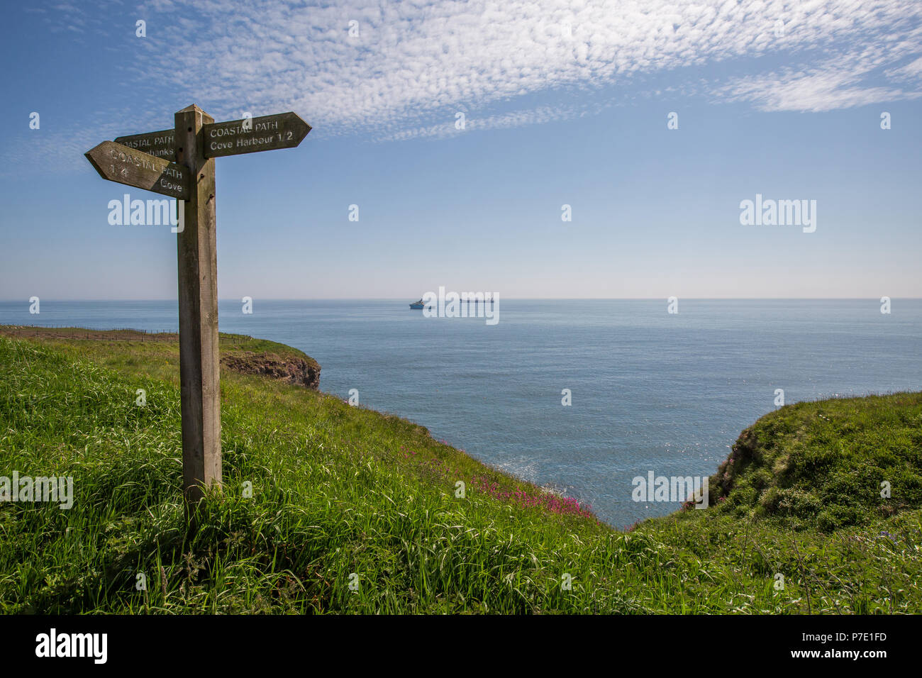 Inscrivez-vous sur le sentier du littoral sur la mer du Nord à Cove dans la ville d'Aberdeen, Écosse, Royaume-Uni Banque D'Images