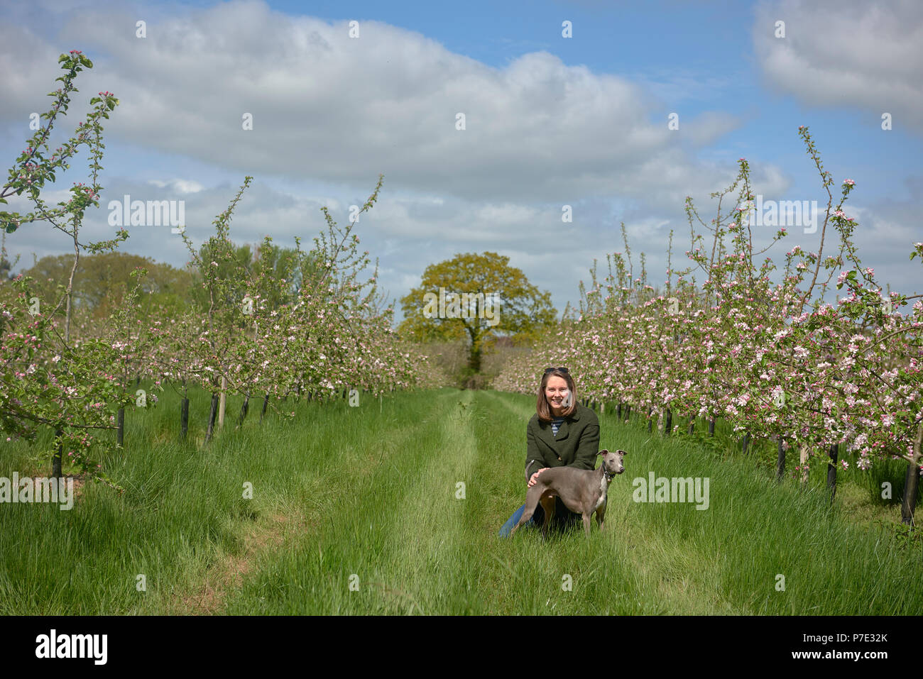 Femme agenouillée avec son chien à l'épanouissement du verger, portrait Banque D'Images