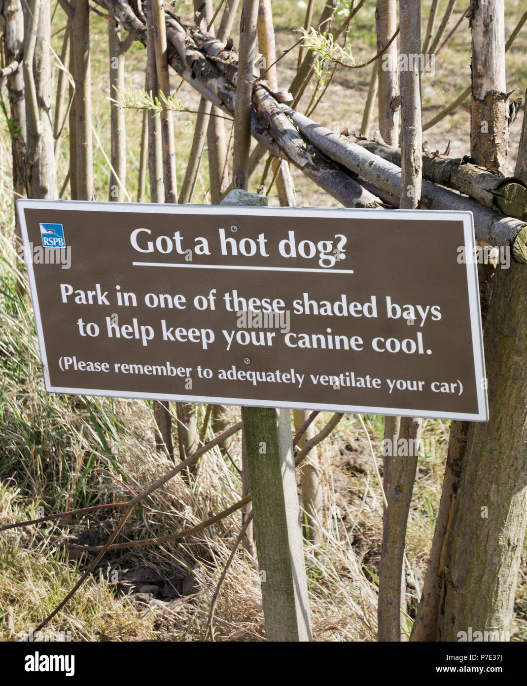 Parking ombragé pour les propriétaires de chiens à la réserve RSPB. UK Banque D'Images