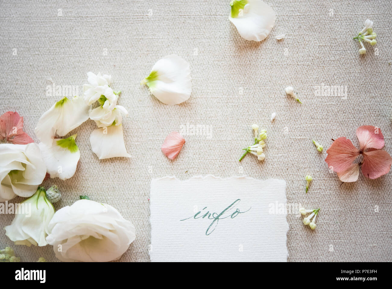 Still Life de papier remarque avec les fleurs de couleur pastel et de pétales, overhead view Banque D'Images