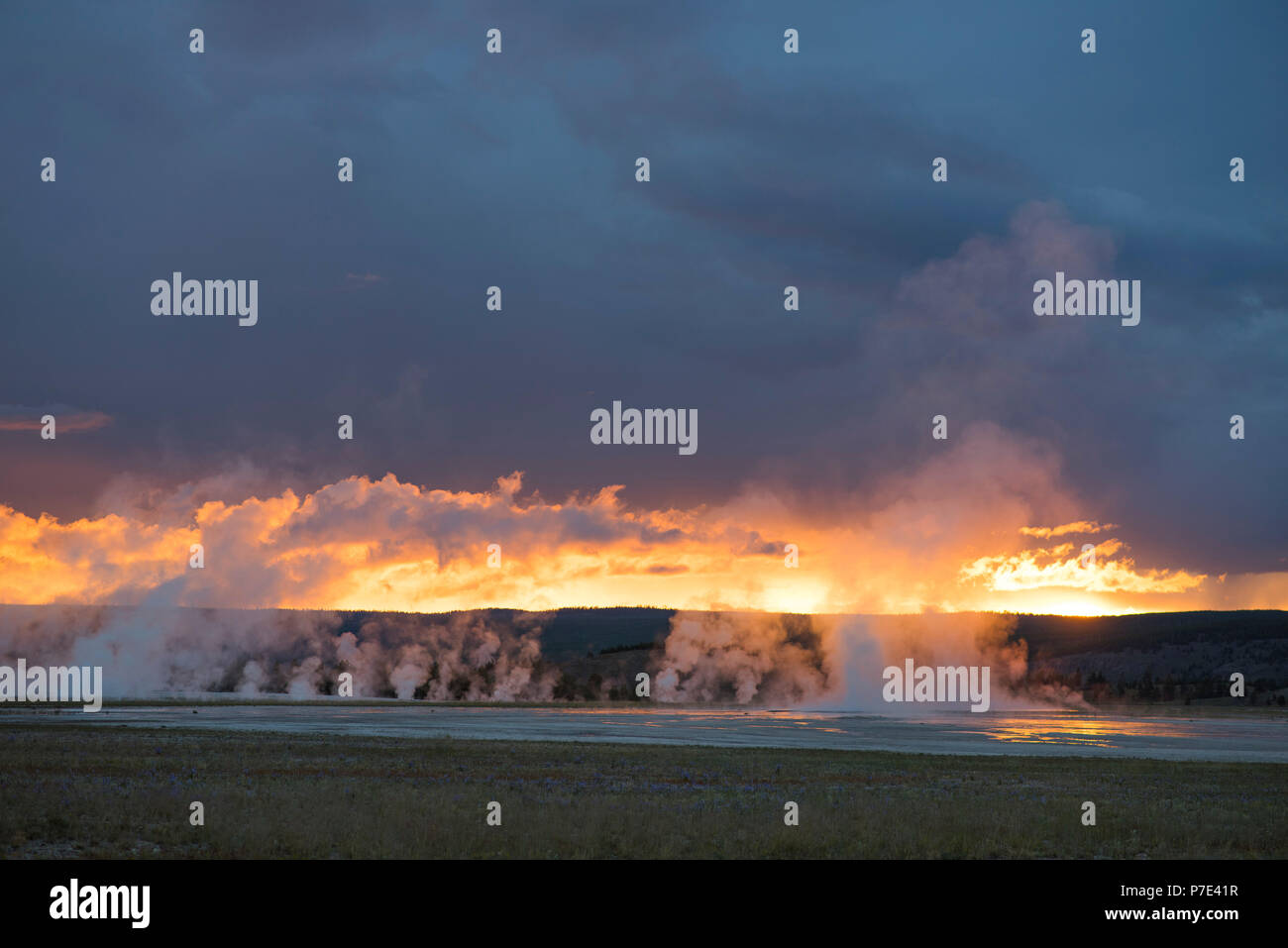 Paysage avec la vapeur des geysers au coucher du soleil, le Parc National de Yellowstone, Wyoming, USA Banque D'Images