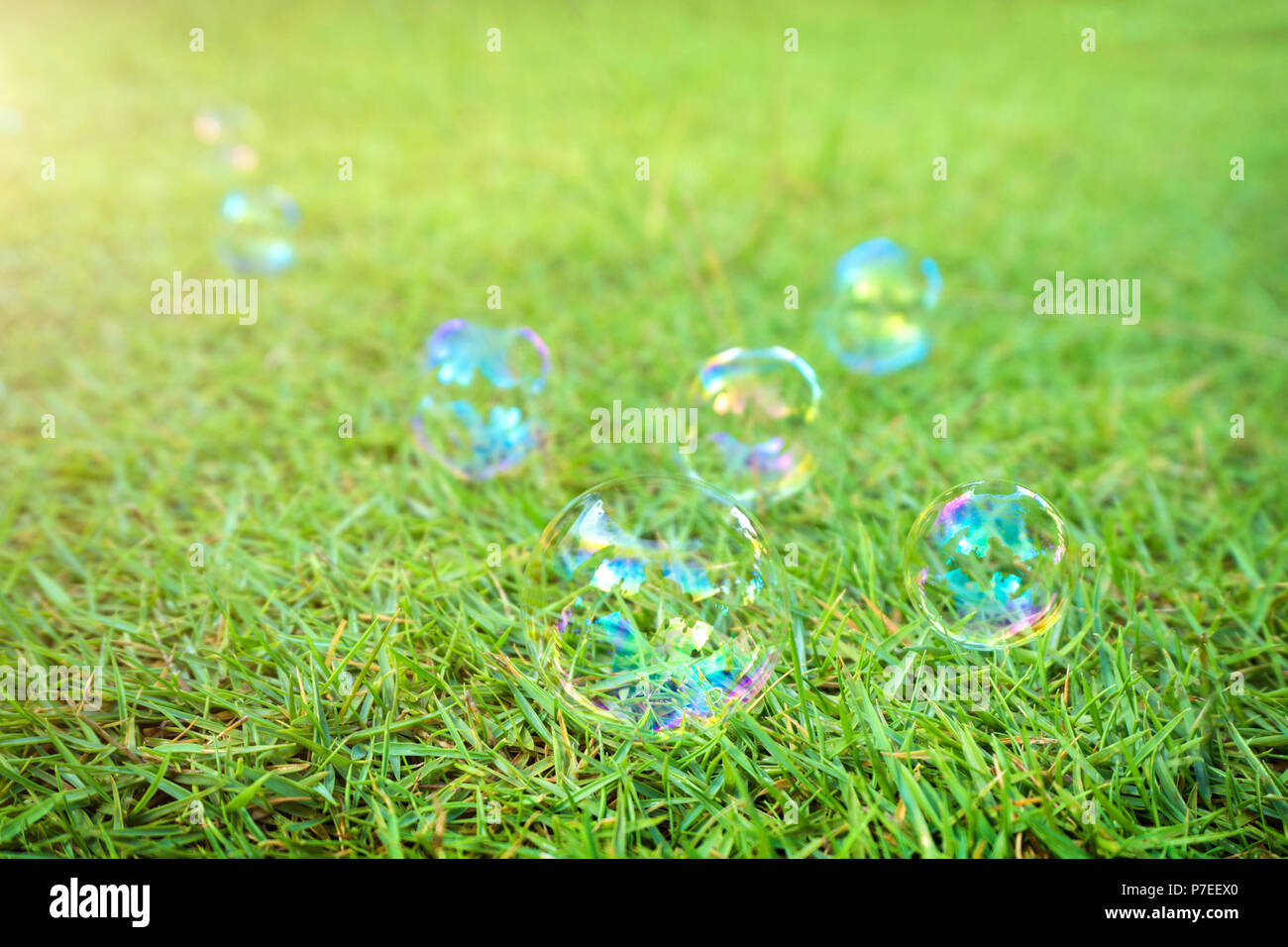 Des bulles de savon portant sur fond d'herbe verte. Une bulle de savon est une très fine couche d'eau savonneuse contenant de l'air qui forme une sphère creuse avec un Banque D'Images