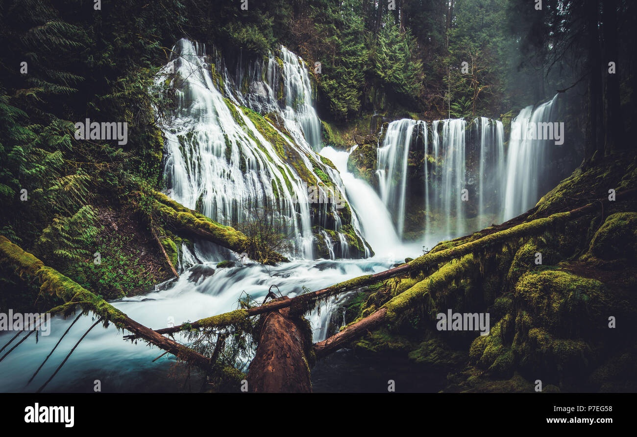 Panther Creek Falls est une cascade de 130 pieds situé dans la forêt nationale de Gifford Pinchot le sud de l'état de Washington près de la gorge du Columbia. Banque D'Images