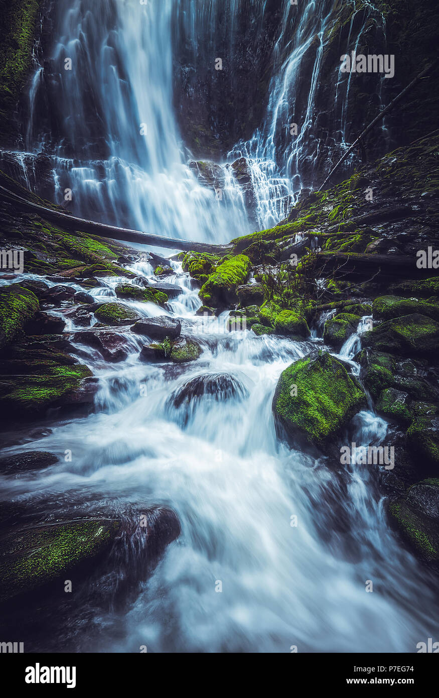 Un contraste élevé, une exposition de l'eau puissante de procuration tombe dans la forêt nationale de Willamette en Oregon. Banque D'Images