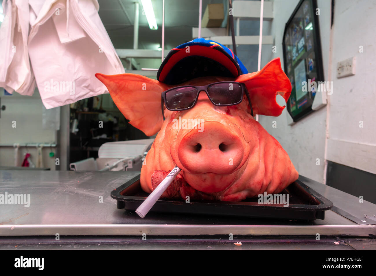 Tête de cochon mis sur boucherie comptoir et décoré avec la cigarette,  lunettes de soleil et chapeau. Footscray Marché, Melbourne, Victoria  Australie Photo Stock - Alamy