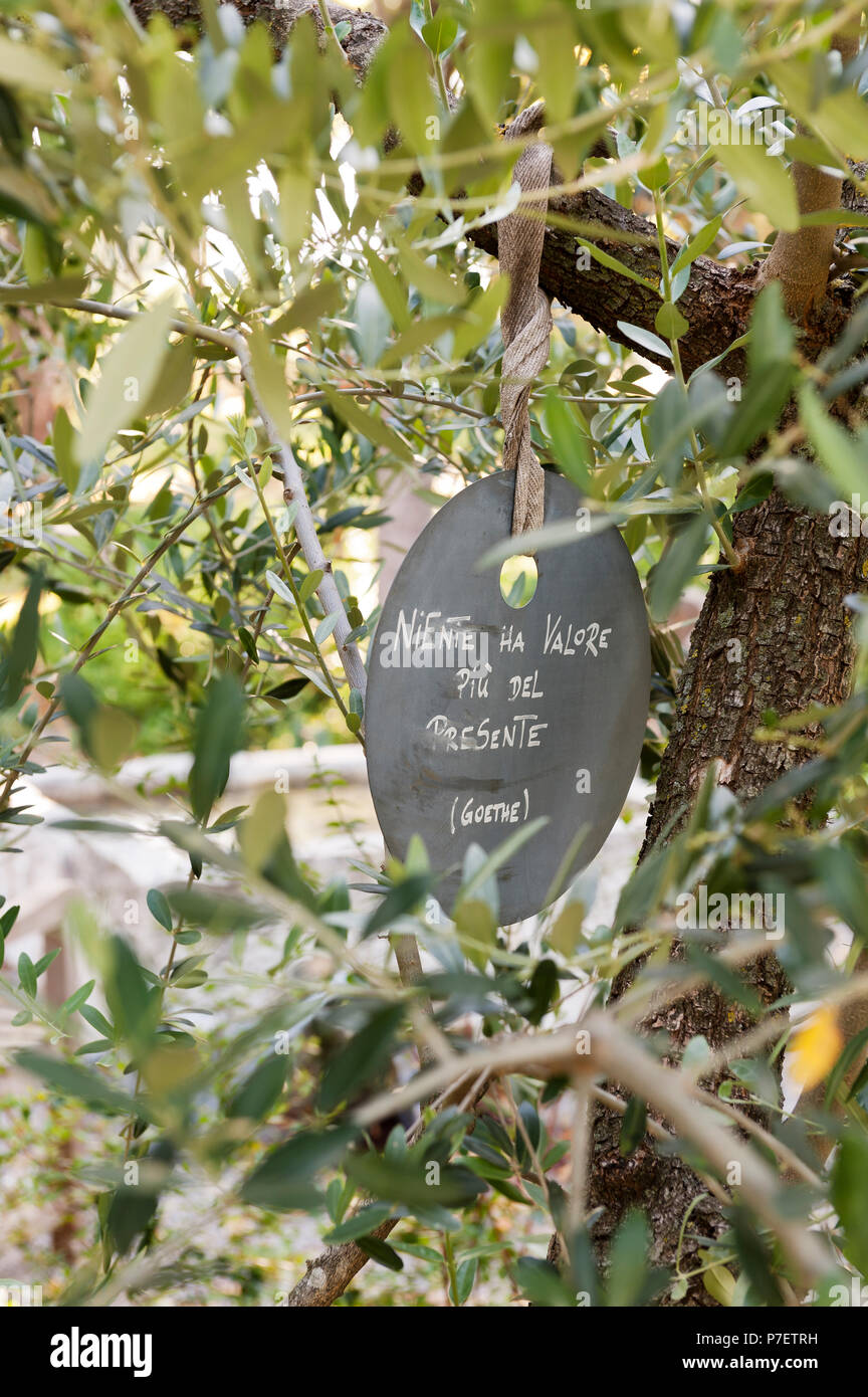 Inscrivez-vous attaché à un arbre dans le jardin Banque D'Images